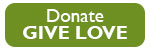 give love