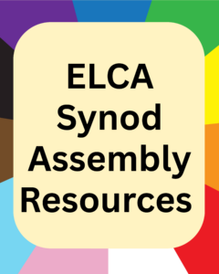 graphic with words "ELCA Synod Assembly Resources"